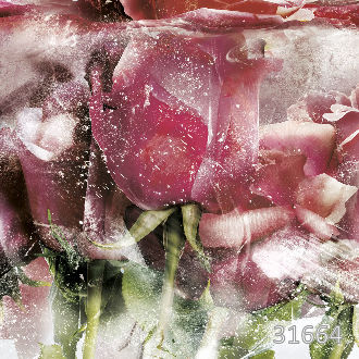 Ice roses