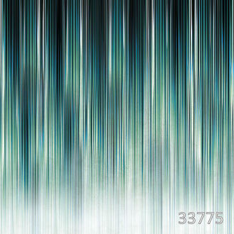 Стена дождя 1