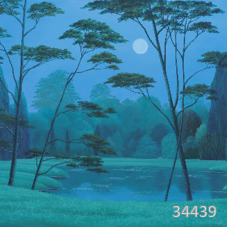 Ночное озеро