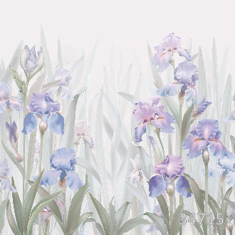 Голубые ирисы