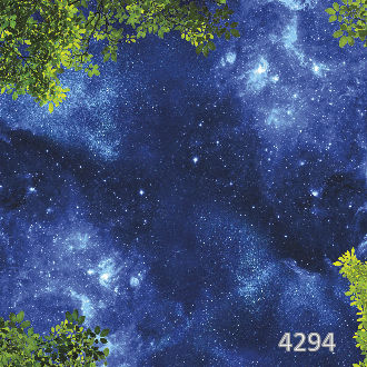 Ночное небо и листва